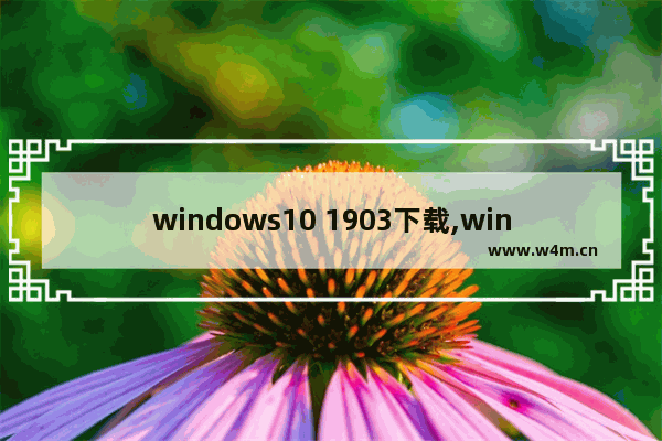 windows10 1903下载,win10系统1803下载