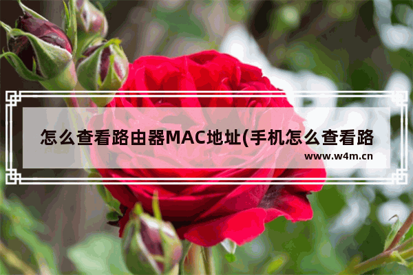 怎么查看路由器MAC地址(手机怎么查看路由器的mac地址)