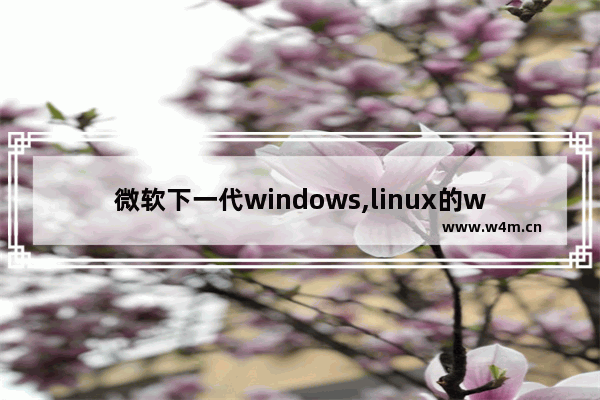 微软下一代windows,linux的windows子系统