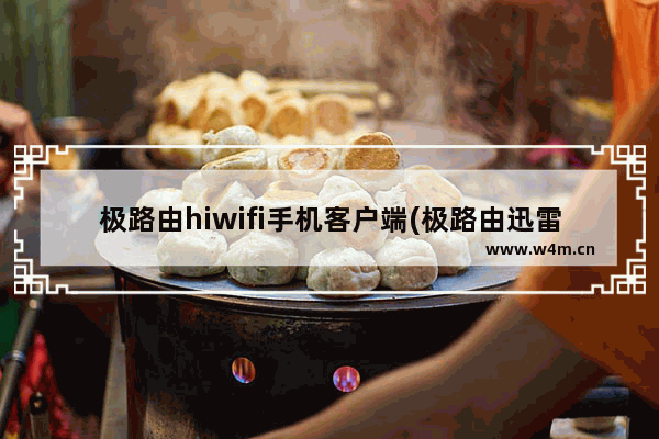 极路由hiwifi手机客户端(极路由迅雷下载)