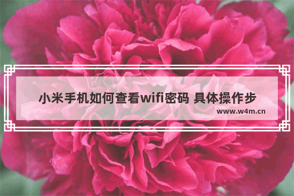 小米手机如何查看wifi密码 具体操作步骤