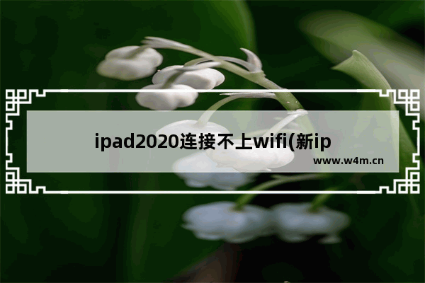 ipad2020连接不上wifi(新ipad连不上无线网络)