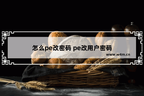 怎么pe改密码 pe改用户密码