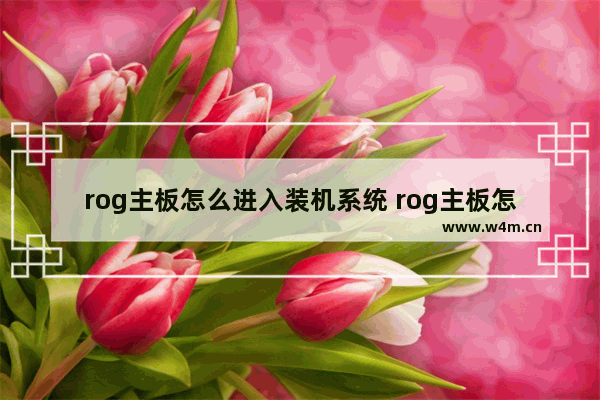 rog主板怎么进入装机系统 rog主板怎么进pe