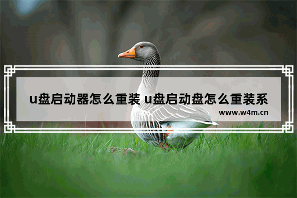 u盘启动器怎么重装 u盘启动盘怎么重装系统教程