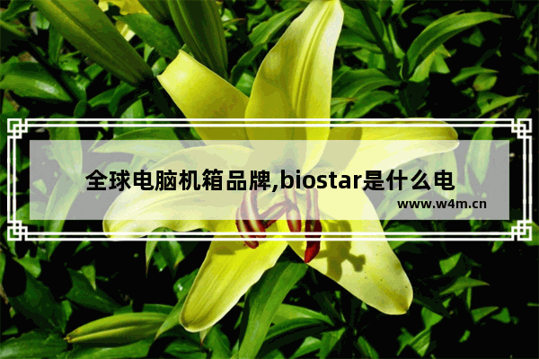 全球电脑机箱品牌,biostar是什么电脑主机品牌