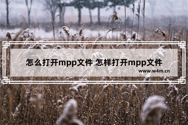 怎么打开mpp文件 怎样打开mpp文件