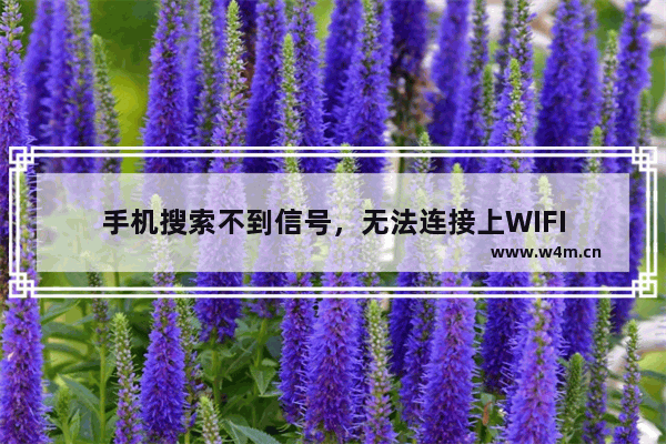 手机搜索不到信号，无法连接上WIFI