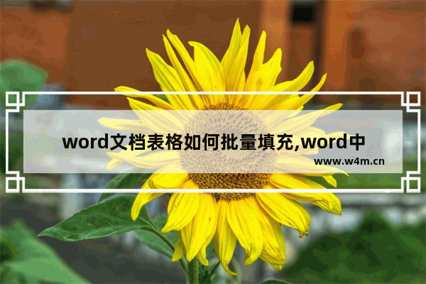 word文档表格如何批量填充,word中如何自动填充