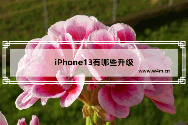 iPhone13有哪些升级