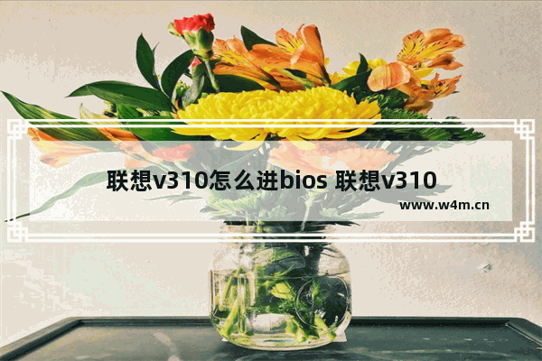 联想v310怎么进bios 联想v310怎么进入bios设置硬盘启动