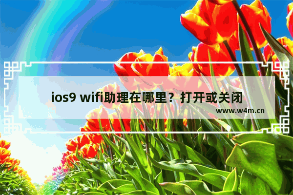 ios9 wifi助理在哪里？打开或关闭ios9 wifi助理的方法