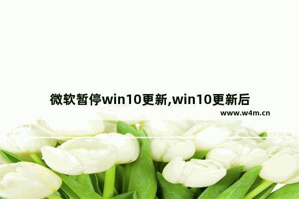 微软暂停win10更新,win10更新后未激活