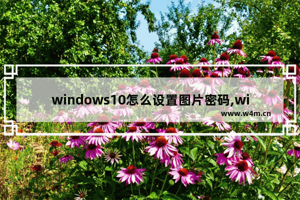 windows10怎么设置图片密码,windows 10怎么删除密码