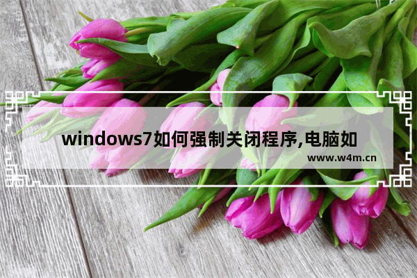 windows7如何强制关闭程序,电脑如何强制关闭程序运行