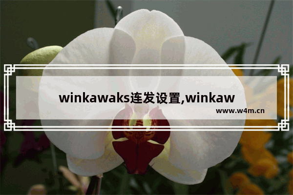 winkawaks连发设置,winkawaks使用教程