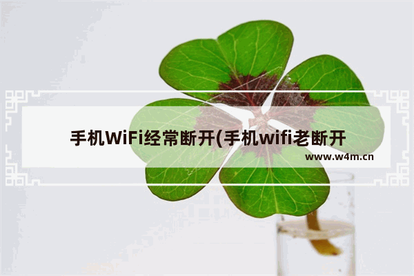 手机WiFi经常断开(手机wifi老断开是怎么回事)