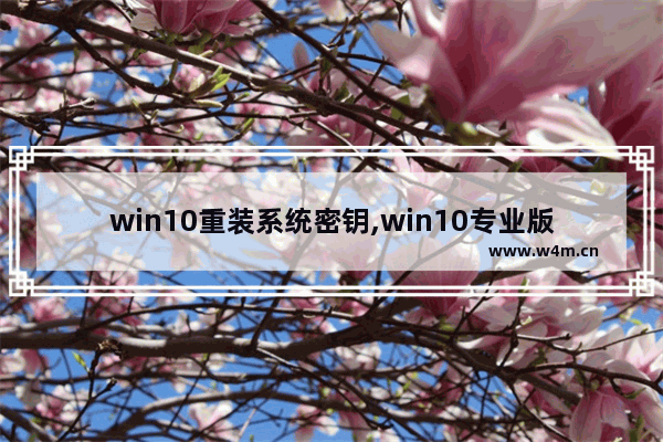 win10重装系统密钥,win10专业版永久激活密钥