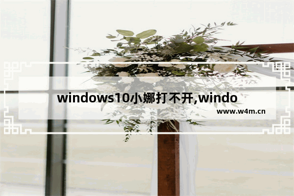 windows10小娜打不开,window10小娜为什么用不了