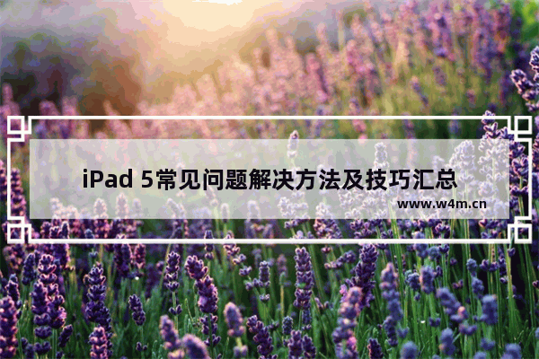 iPad 5常见问题解决方法及技巧汇总