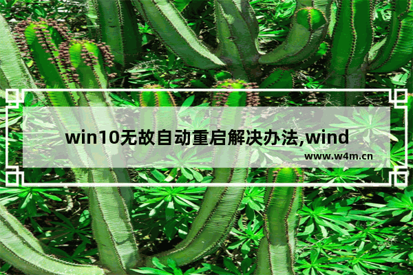 win10无故自动重启解决办法,windows10自动重启怎么解决