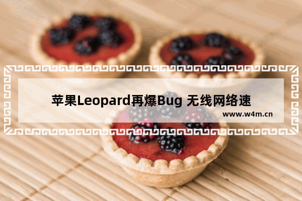 苹果Leopard再爆Bug 无线网络速度减慢