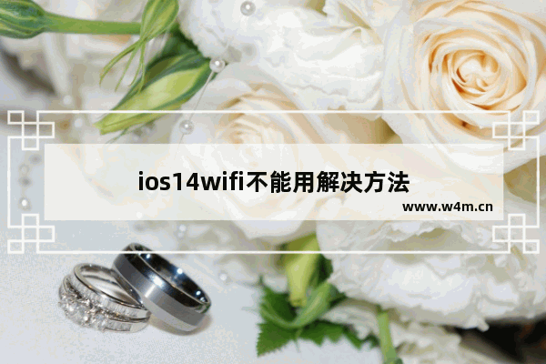 ios14wifi不能用解决方法