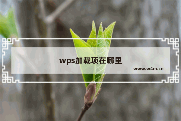 wps加载项在哪里