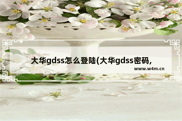 大华gdss怎么登陆(大华gdss密码,大华gdss手机版总是闪退)