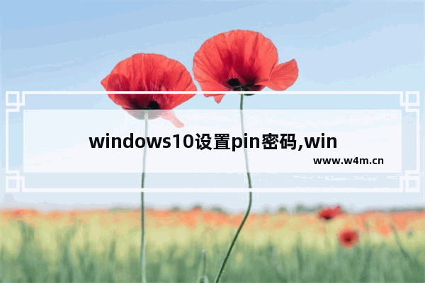 windows10设置pin密码,win10知道pin码但不知道登录密码