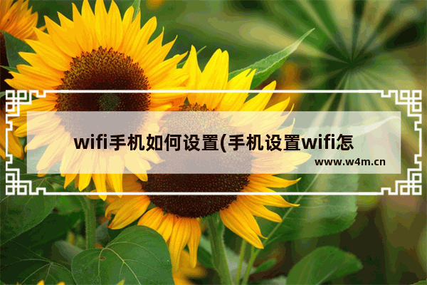 wifi手机如何设置(手机设置wifi怎么设置)