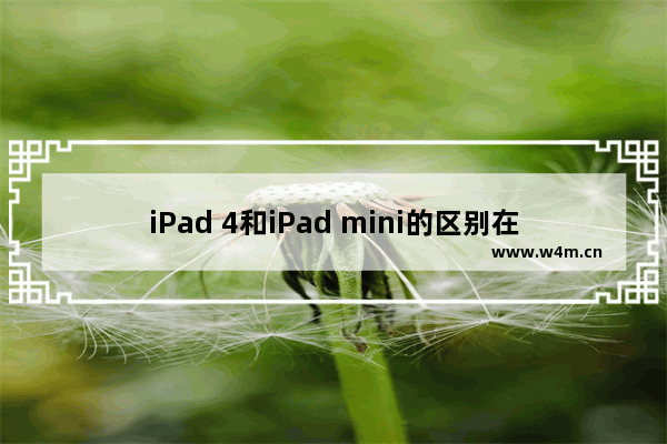 iPad 4和iPad mini的区别在哪