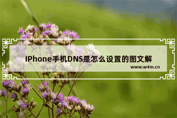 IPhone手机DNS是怎么设置的图文解答