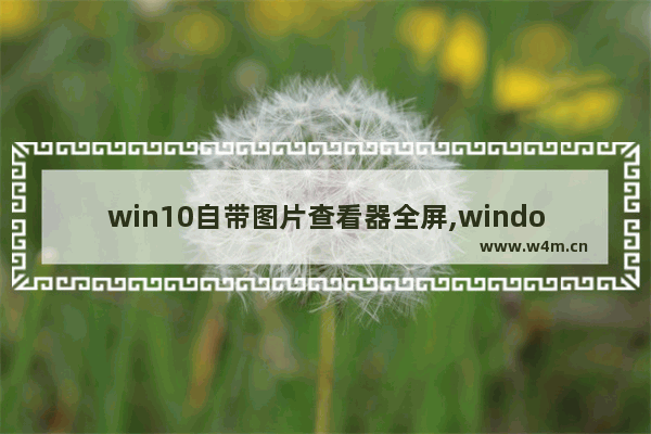 win10自带图片查看器全屏,windows图片查看器如何全屏