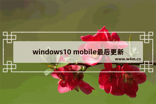 windows10 mobile最后更新,_1