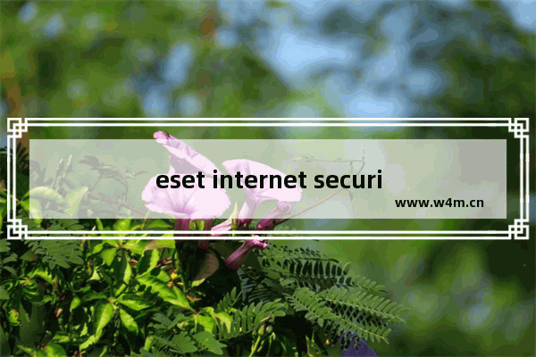 eset internet security和nod32,eset internet security 激活码2021