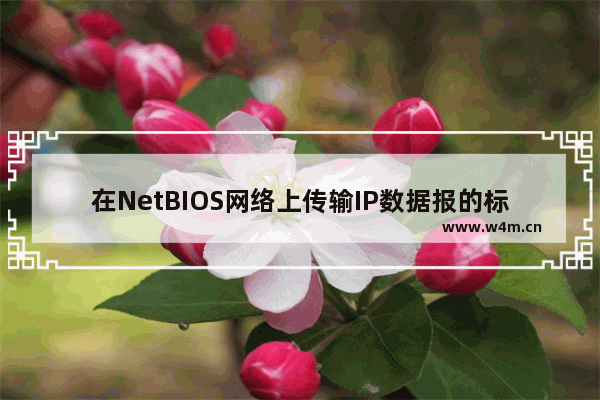 在NetBIOS网络上传输IP数据报的标准