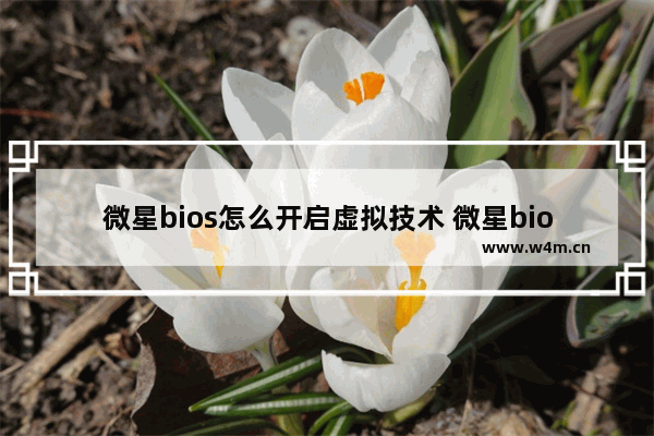 微星bios怎么开启虚拟技术 微星bios 虚拟化技术开启