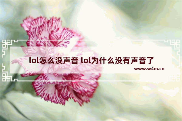 lol怎么没声音 lol为什么没有声音了