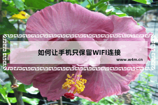 如何让手机只保留WIFI连接