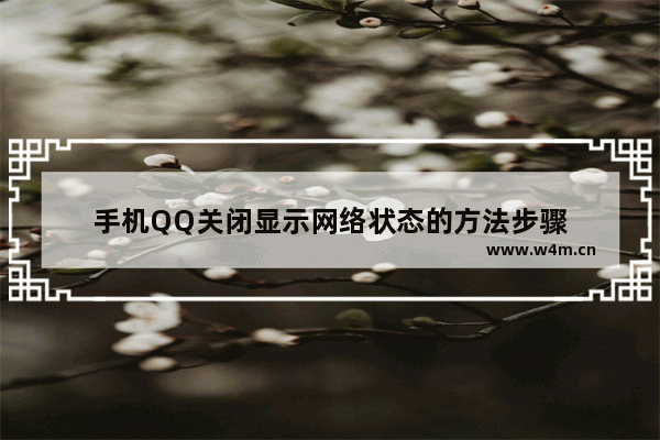 手机QQ关闭显示网络状态的方法步骤