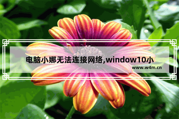 电脑小娜无法连接网络,window10小娜为什么用不了