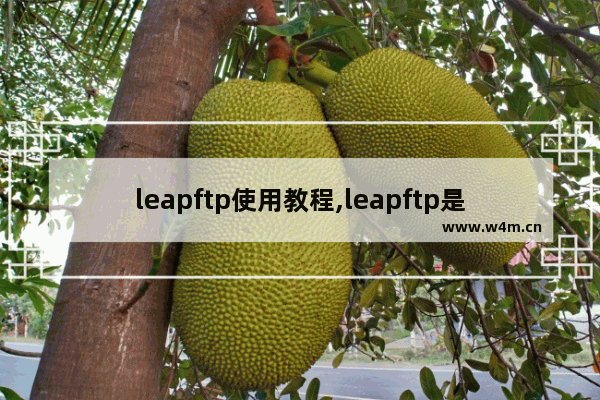 leapftp使用教程,leapftp是什么软件