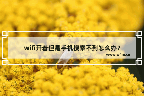 wifi开着但是手机搜索不到怎么办？