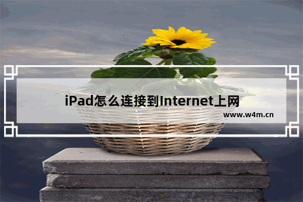 iPad怎么连接到Internet上网