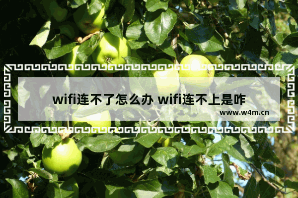 wifi连不了怎么办 wifi连不上是咋回事