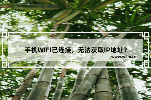 手机WIFI已连接，无法获取IP地址？