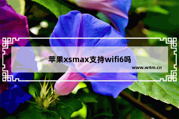 苹果xsmax支持wifi6吗