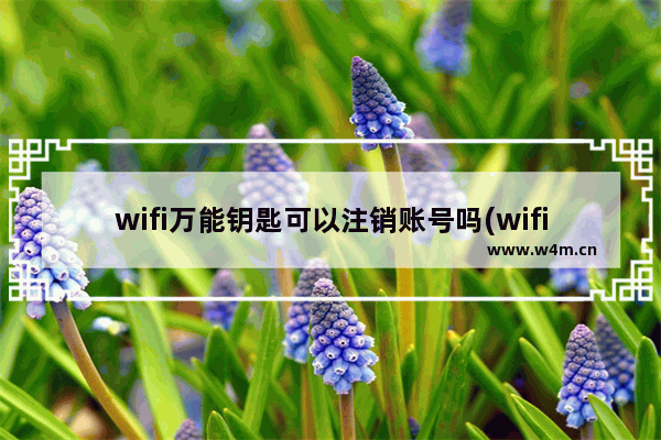 wifi万能钥匙可以注销账号吗(wifi万能钥匙怎么注销手机号)