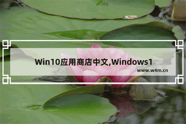 Win10应用商店中文,Windows10预览版